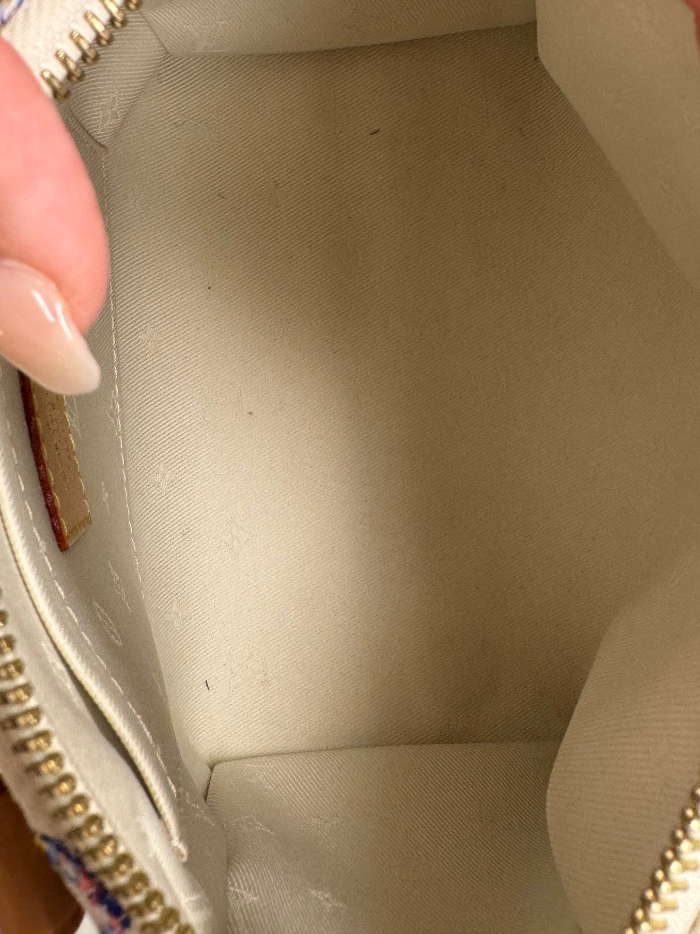 Louis Vuitton Speedy 20