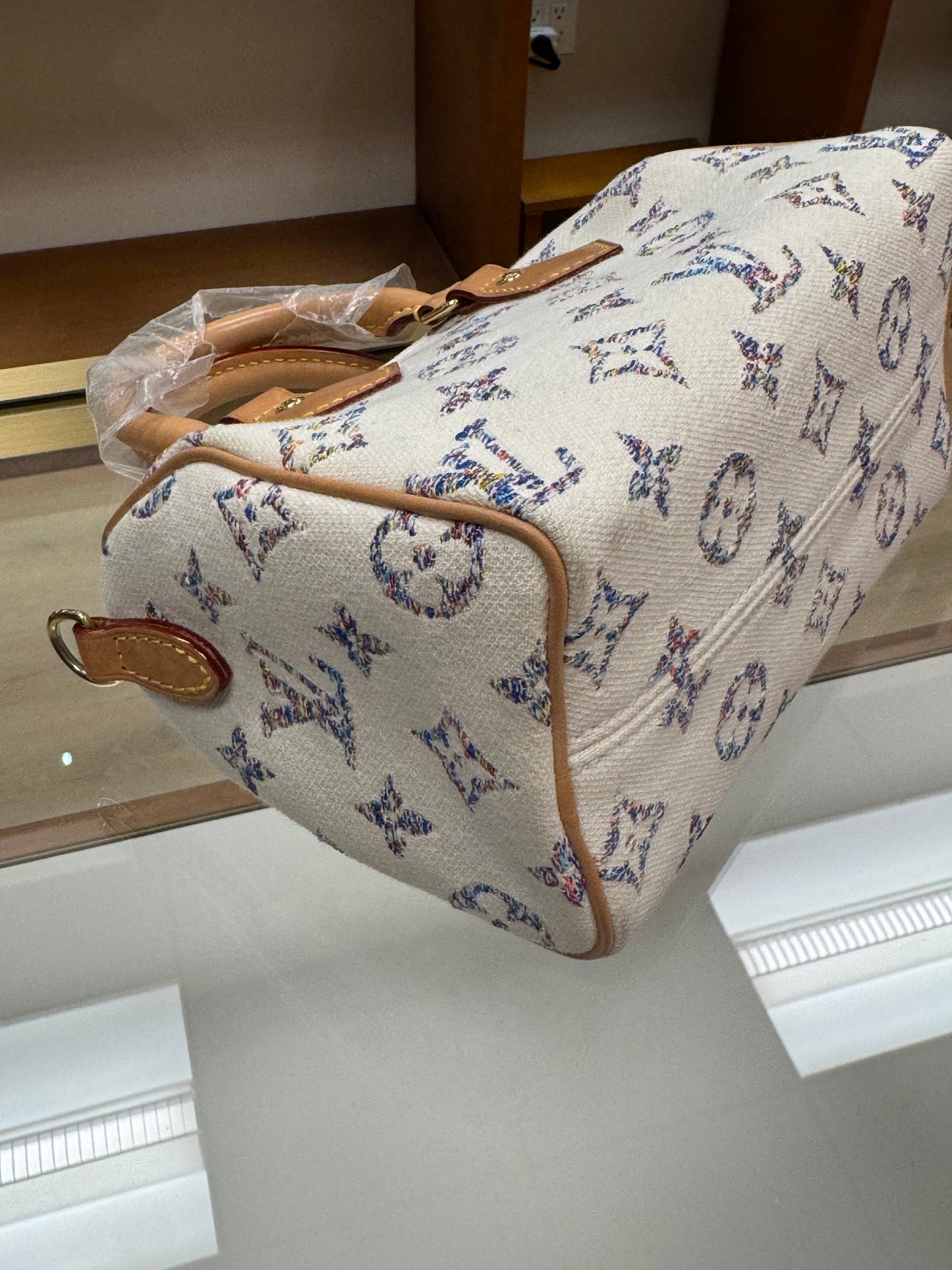 Louis Vuitton Speedy 20