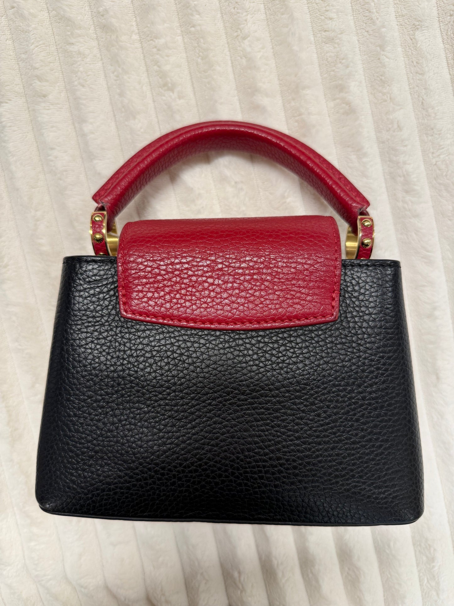 Louis Vuitton Multicolor Taurillon Leather Capucines  Bag